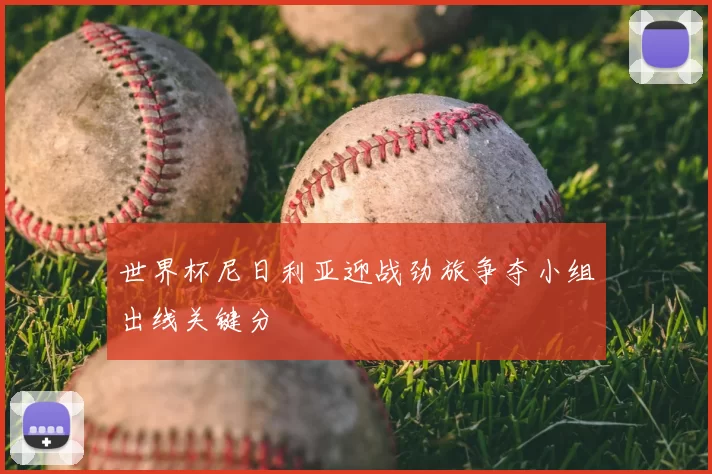 世界杯尼日利亚迎战劲旅争夺小组出线关键分