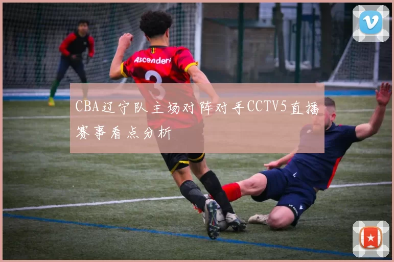 CBA辽宁队主场对阵对手CCTV5直播赛事看点分析