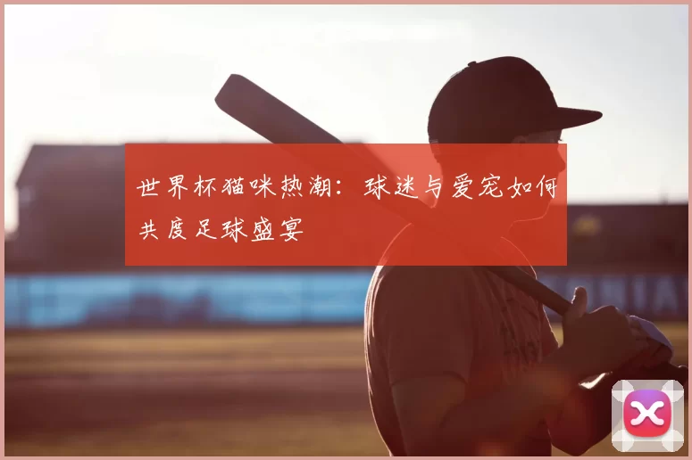 世界杯猫咪热潮：球迷与爱宠如何共度足球盛宴