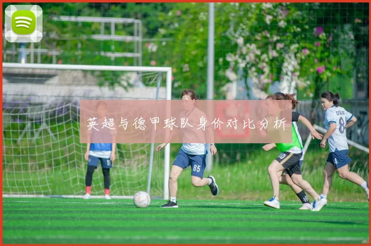英超与德甲球队身价对比分析