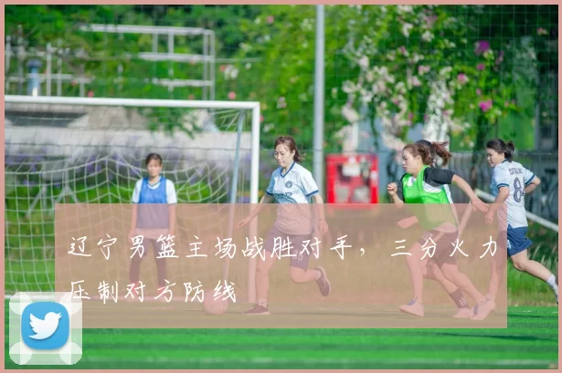 辽宁男篮主场战胜对手，三分火力压制对方防线