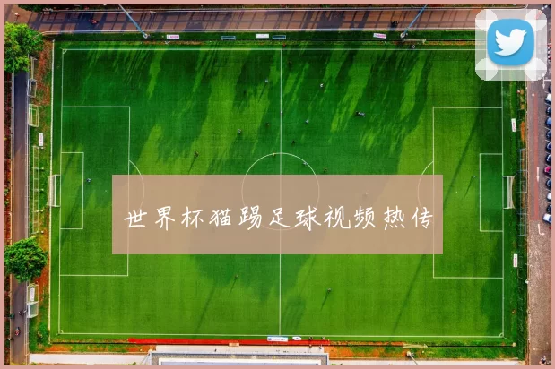 世界杯猫踢足球视频热传