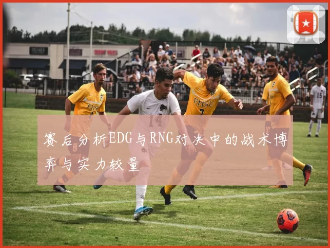 赛后分析EDG与RNG对决中的战术博弈与实力较量