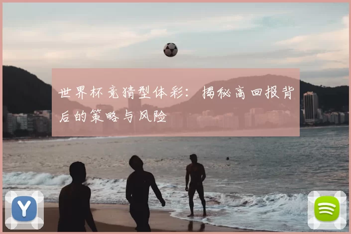 世界杯竞猜型体彩：揭秘高回报背后的策略与风险