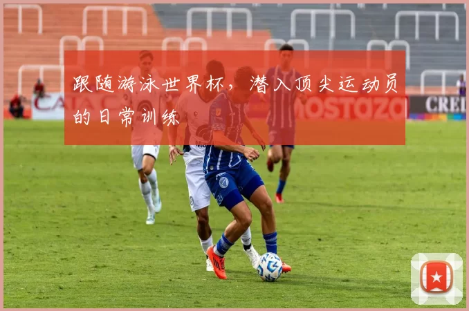 跟随游泳世界杯，潜入顶尖运动员的日常训练