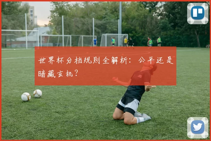 世界杯分档规则全解析：公平还是暗藏玄机？