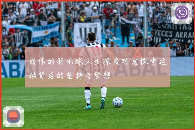 刘伟的羽毛球人生深度对话探索运动背后的坚持与梦想